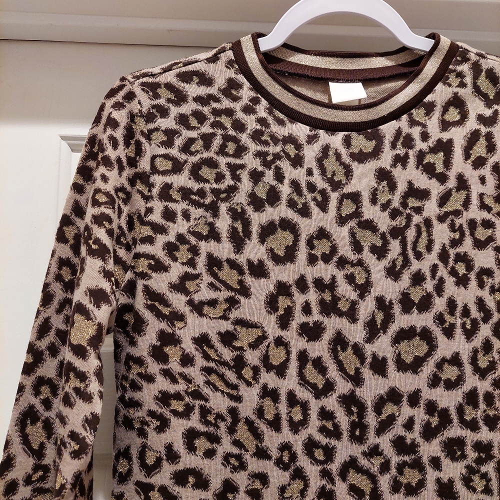 H&M Leopard Print Long Sleeve Midi Dress